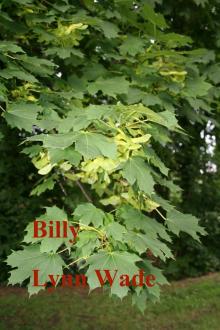      Billy