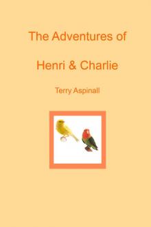      The Adventures of Henri and Charlie