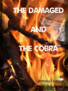      The Damaged and The Cobra