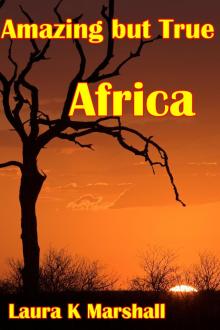      Amazing but True - Africa Adventure Book 1