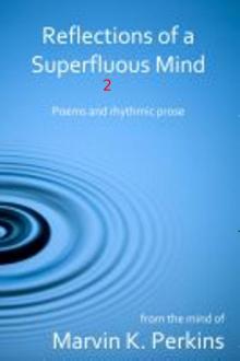      Reflections of a Superfluous Mind 2
