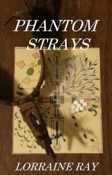      Phantom Strays
