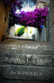      Light & Darkness, vol. 10