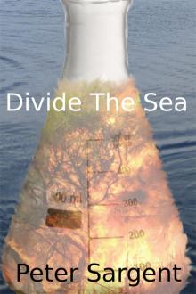      Divide The Sea