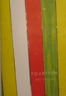      Fourteen