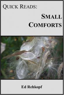      Quick Reads: Small Comforts