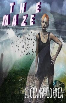     The Maze