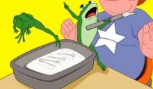      The Physiology of Love and Frogs