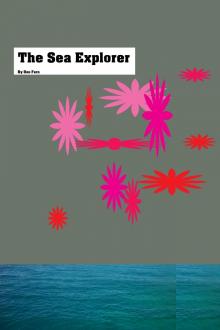      The Sea Explorer