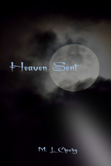      Heaven Sent