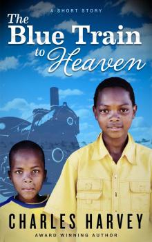      The Blue Train To Heaven