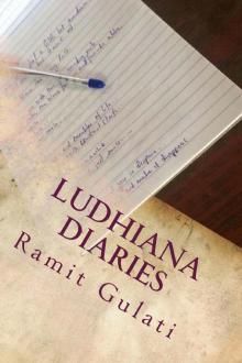      Ludhiana Diaries