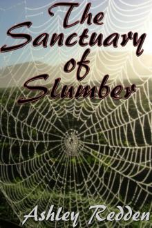      The Sanctuary Of Slumber