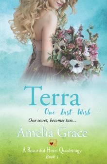      Terra ~ One Last Wish