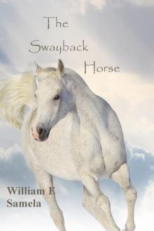      The Swayback Horse