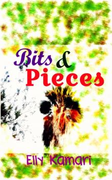      Bits and Pieces