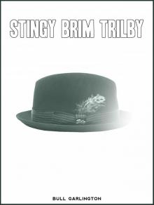      Stingy Brim Trilby