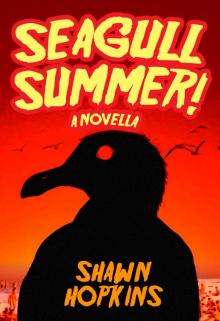      Seagull Summer: A Novella