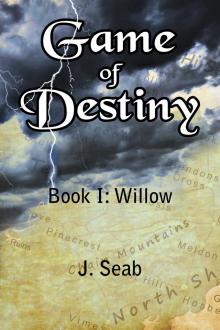      Game of Destiny, Book I: Willow