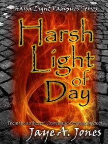      Harsh Light of Day
