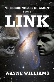      The Chronicles of Amon book 1 LINK