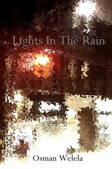      Lights In The Rain