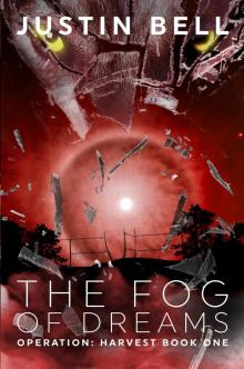      The Fog of Dreams