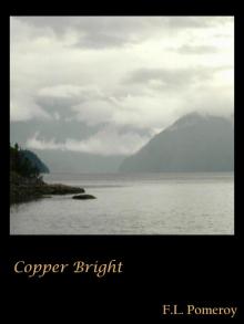      Copper Bright