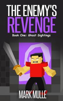      The Enemy's Revenge, Book One: Ghost Sightings
