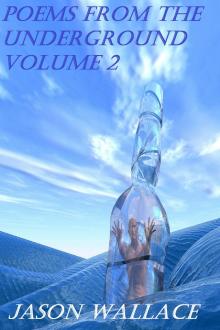     Poems From the Underground Volume 2