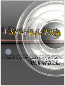      A Story in a Flash - A Collection of 300 Word Flashfiction Stories