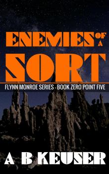      Enemies of a Sort