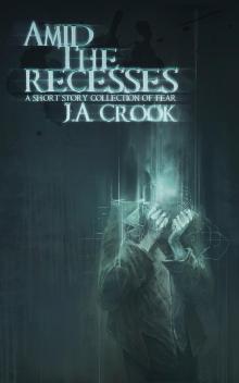      Amid the Recesses: A Short Story Collection of Fear
