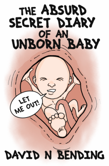      The Absurd Secret Diary Of An Unborn Baby