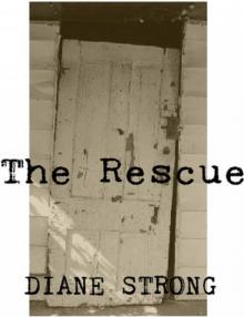      The Rescue (The Running Suspense Series #4)