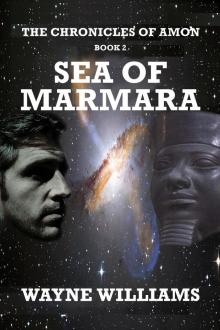      The Chronicles of Amon book 2 The Sea of Marmara