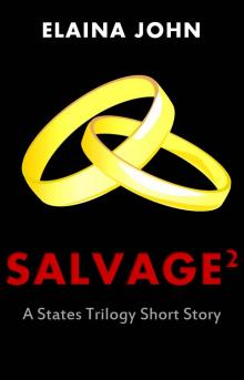      Salvage 2