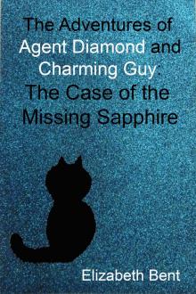      The Case of the Missing Sapphire