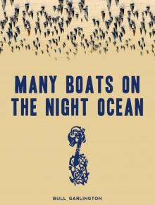      Many Boats on the Night Ocean