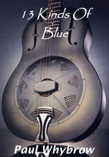      13 Kinds Of Blue