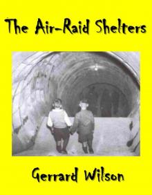      The Air-Raid Shelters