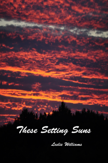      These Setting Suns