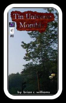      Tin Universe Monthly  #10