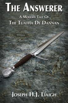      The Answerer: A Modern Tale Of The Tuatha De Dannan