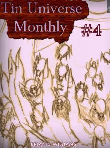      Tin Universe Monthly #4