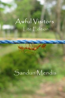      Awful Visitors - Lite Edition