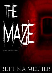      THE MAZE - A Thriller Short Story