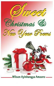      Sweet Christmas & New Year Poems