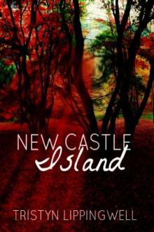      New Castle Island