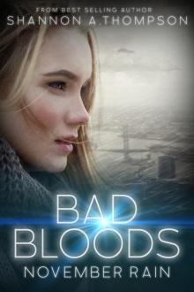      Bad Bloods: November Rain